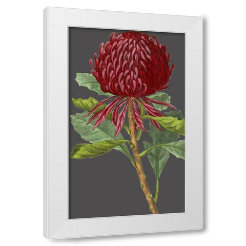 30x18 Midnight Garden Varieties VIII (ASH) White Modern Wood Framed Art Print by Vision Studio