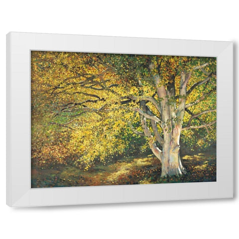 Golden Light I White Modern Wood Framed Art Print by Reynolds, Graham