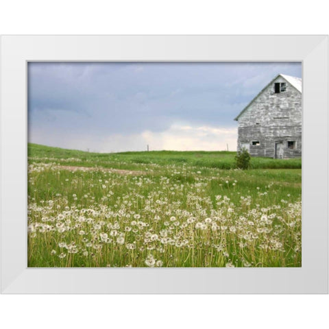Barn Scape II White Modern Wood Framed Art Print by Blixt, Ingrid