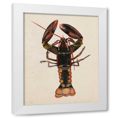 Sea Dweller I White Modern Wood Framed Art Print by Popp, Grace