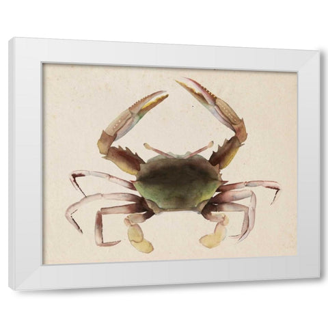 Sea Dweller IV White Modern Wood Framed Art Print by Popp, Grace