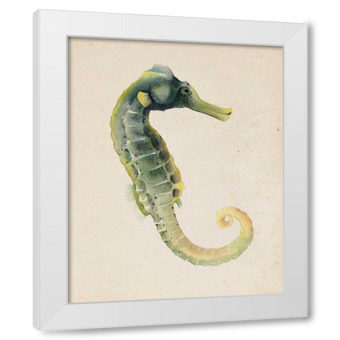 Sea Dweller VI White Modern Wood Framed Art Print by Popp, Grace