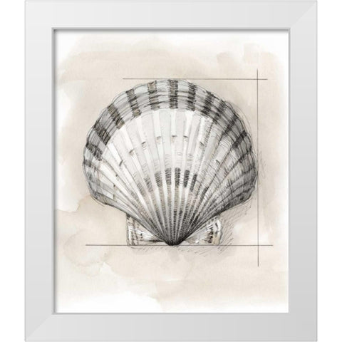 Shell Schematic III White Modern Wood Framed Art Print by Meagher, Megan