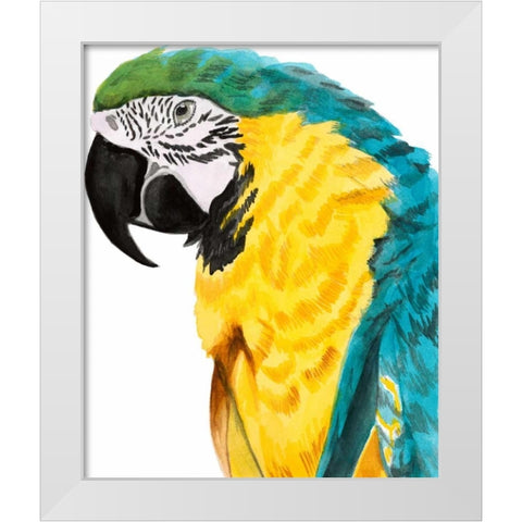 Watercolor Parrot White Modern Wood Framed Art Print by McCavitt, Naomi