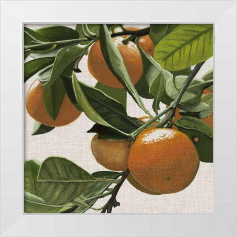 Bright Citrus I White Modern Wood Framed Art Print by McCavitt, Naomi