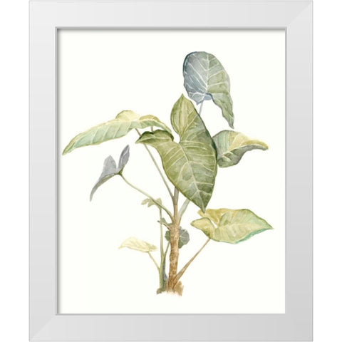 Tropical Watercolor Leaves IV White Modern Wood Framed Art Print by Meagher, Megan