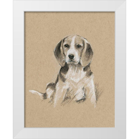 Breed Sketches I White Modern Wood Framed Art Print by Harper, Ethan