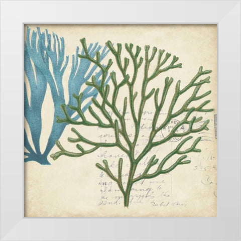Seaweed Overlay I White Modern Wood Framed Art Print by Studio W