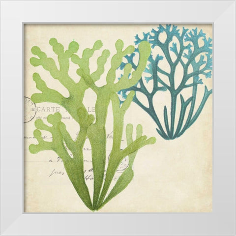 Seaweed Overlay II White Modern Wood Framed Art Print by Studio W