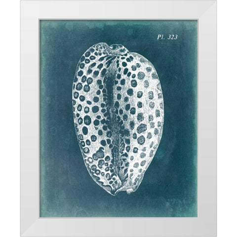 Azure Shell II White Modern Wood Framed Art Print by Vision Studio