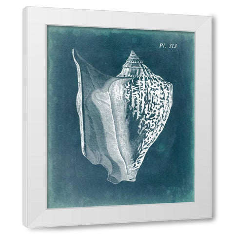 Azure Shell III White Modern Wood Framed Art Print by Vision Studio