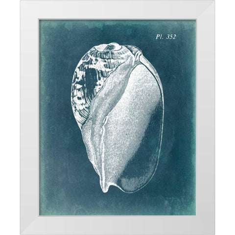 Azure Shell IV White Modern Wood Framed Art Print by Vision Studio