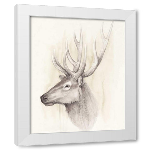 American Wilderness III White Modern Wood Framed Art Print by Popp, Grace