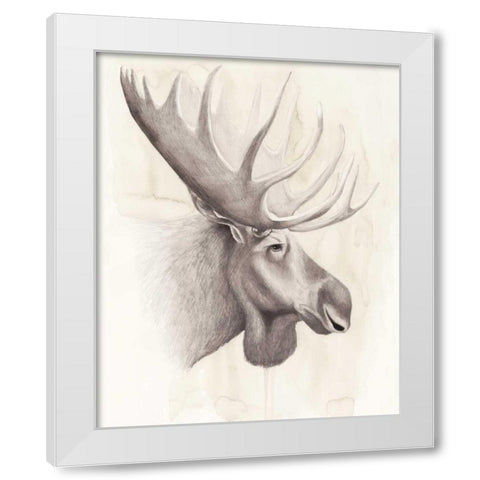 American Wilderness IV White Modern Wood Framed Art Print by Popp, Grace