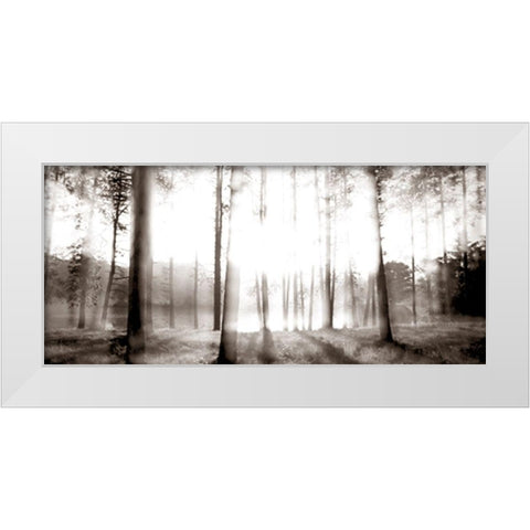 Sunrise in the Pines White Modern Wood Framed Art Print by McLoughlin, James