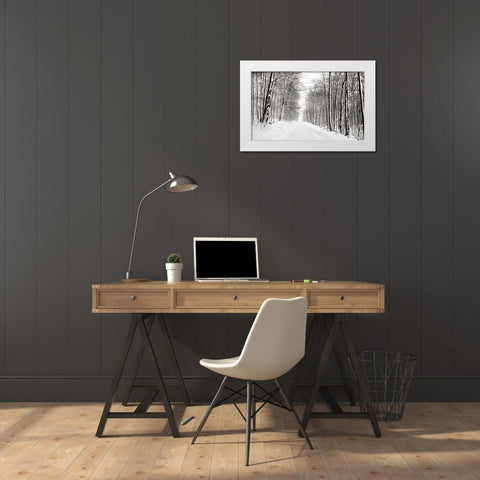 A Snowy Walk III White Modern Wood Framed Art Print by McLoughlin, James