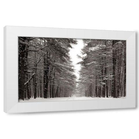 A Snowy Walk IV White Modern Wood Framed Art Print by McLoughlin, James