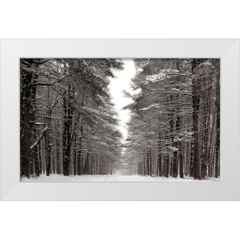 A Snowy Walk IV White Modern Wood Framed Art Print by McLoughlin, James