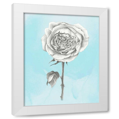 Graphite Rose I White Modern Wood Framed Art Print by Popp, Grace