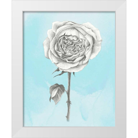 Graphite Rose I White Modern Wood Framed Art Print by Popp, Grace