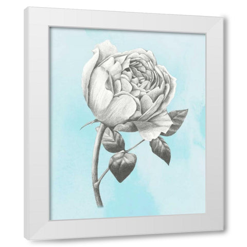 Graphite Rose II White Modern Wood Framed Art Print by Popp, Grace