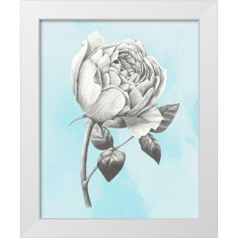 Graphite Rose II White Modern Wood Framed Art Print by Popp, Grace