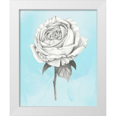 Graphite Rose IV White Modern Wood Framed Art Print by Popp, Grace