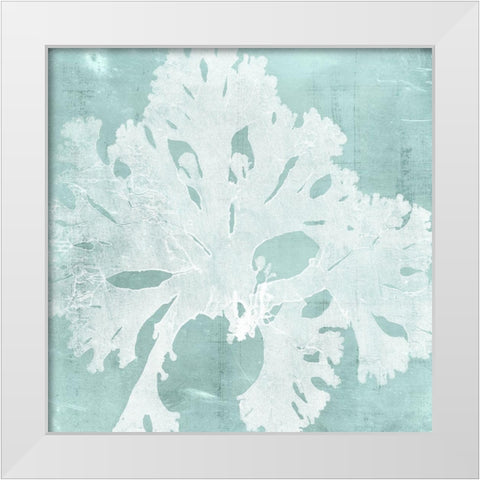 Seaweed on Aqua V White Modern Wood Framed Art Print by Vision Studio