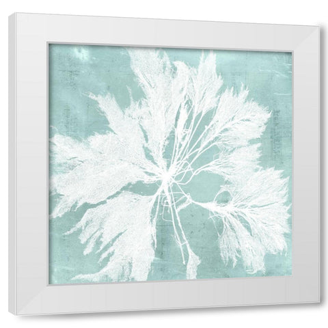 Seaweed on Aqua VI White Modern Wood Framed Art Print by Vision Studio