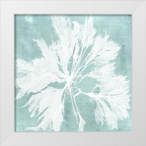 Seaweed on Aqua VI White Modern Wood Framed Art Print by Vision Studio