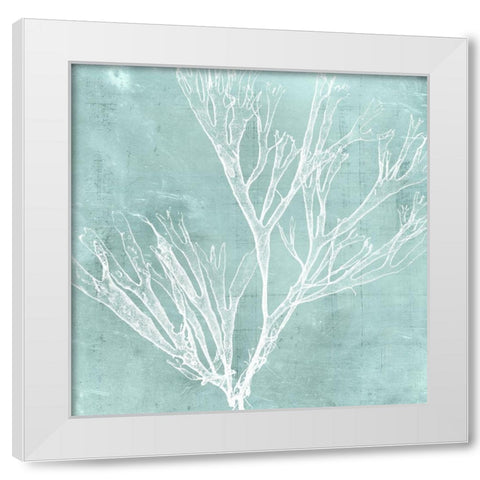 Seaweed on Aqua VII White Modern Wood Framed Art Print by Vision Studio