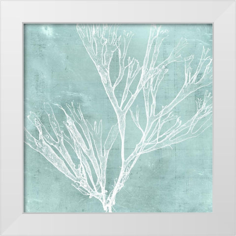 Seaweed on Aqua VII White Modern Wood Framed Art Print by Vision Studio