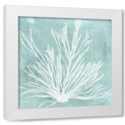 Seaweed on Aqua IX White Modern Wood Framed Art Print by Vision Studio