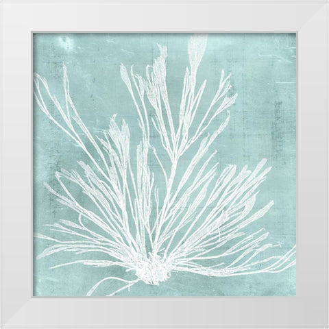 Seaweed on Aqua IX White Modern Wood Framed Art Print by Vision Studio