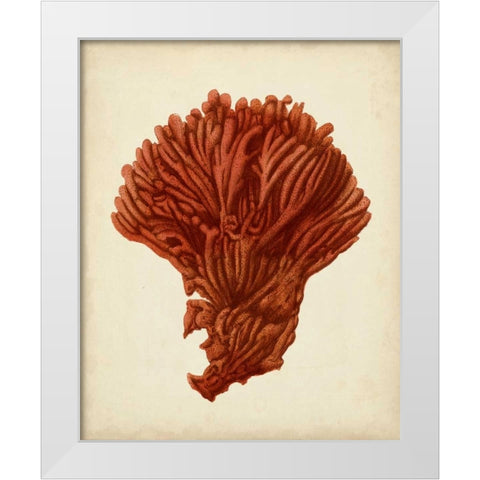 Antique Red Coral I White Modern Wood Framed Art Print by Vision Studio