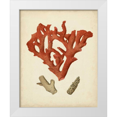 Antique Red Coral II White Modern Wood Framed Art Print by Vision Studio