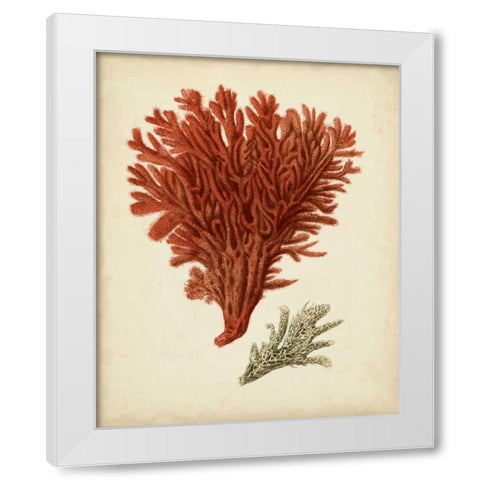 Antique Red Coral V White Modern Wood Framed Art Print by Vision Studio