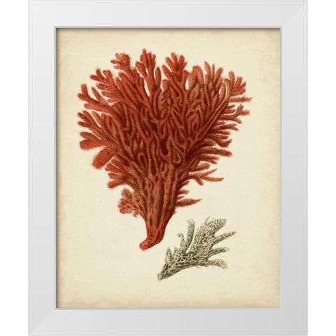 Antique Red Coral V White Modern Wood Framed Art Print by Vision Studio