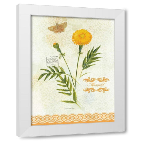 Flower Study on Lace XI White Modern Wood Framed Art Print by Della-Piana, Elissa