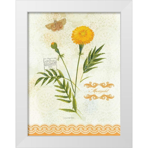 Flower Study on Lace XI White Modern Wood Framed Art Print by Della-Piana, Elissa