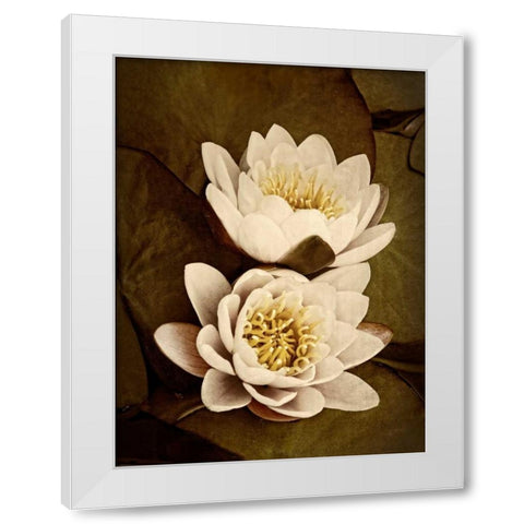 Lily Pad Duo White Modern Wood Framed Art Print by Perry, Rachel