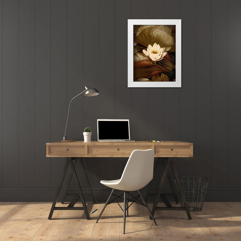 Lily Pad Single White Modern Wood Framed Art Print by Perry, Rachel