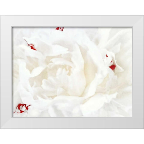 White Linen Peony I White Modern Wood Framed Art Print by Perry, Rachel