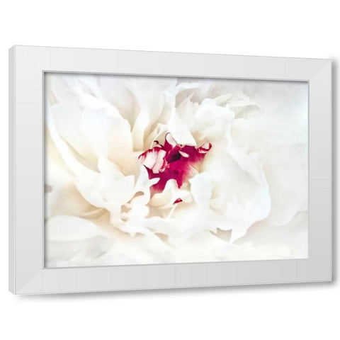White Linen Peony II White Modern Wood Framed Art Print by Perry, Rachel