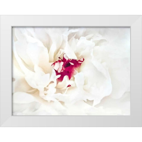 White Linen Peony II White Modern Wood Framed Art Print by Perry, Rachel