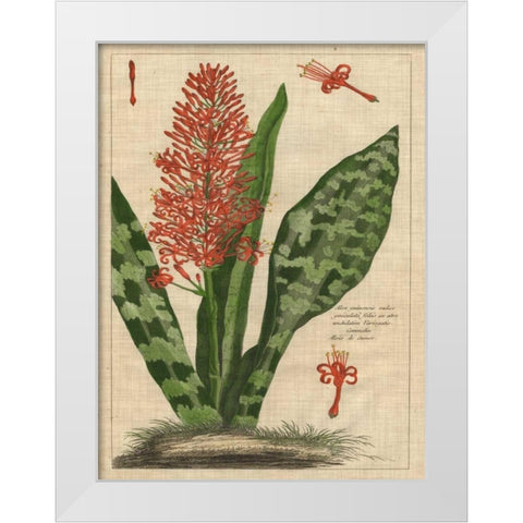 Botanical Study on Linen I White Modern Wood Framed Art Print by Vision Studio