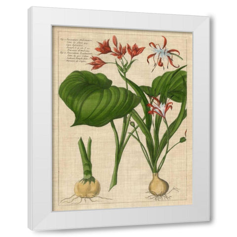 Botanical Study on Linen V White Modern Wood Framed Art Print by Vision Studio