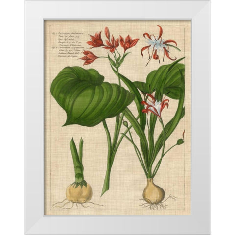 Botanical Study on Linen V White Modern Wood Framed Art Print by Vision Studio