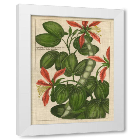 Botanical Study on Linen VI White Modern Wood Framed Art Print by Vision Studio