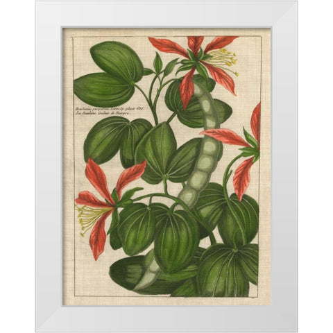 Botanical Study on Linen VI White Modern Wood Framed Art Print by Vision Studio
